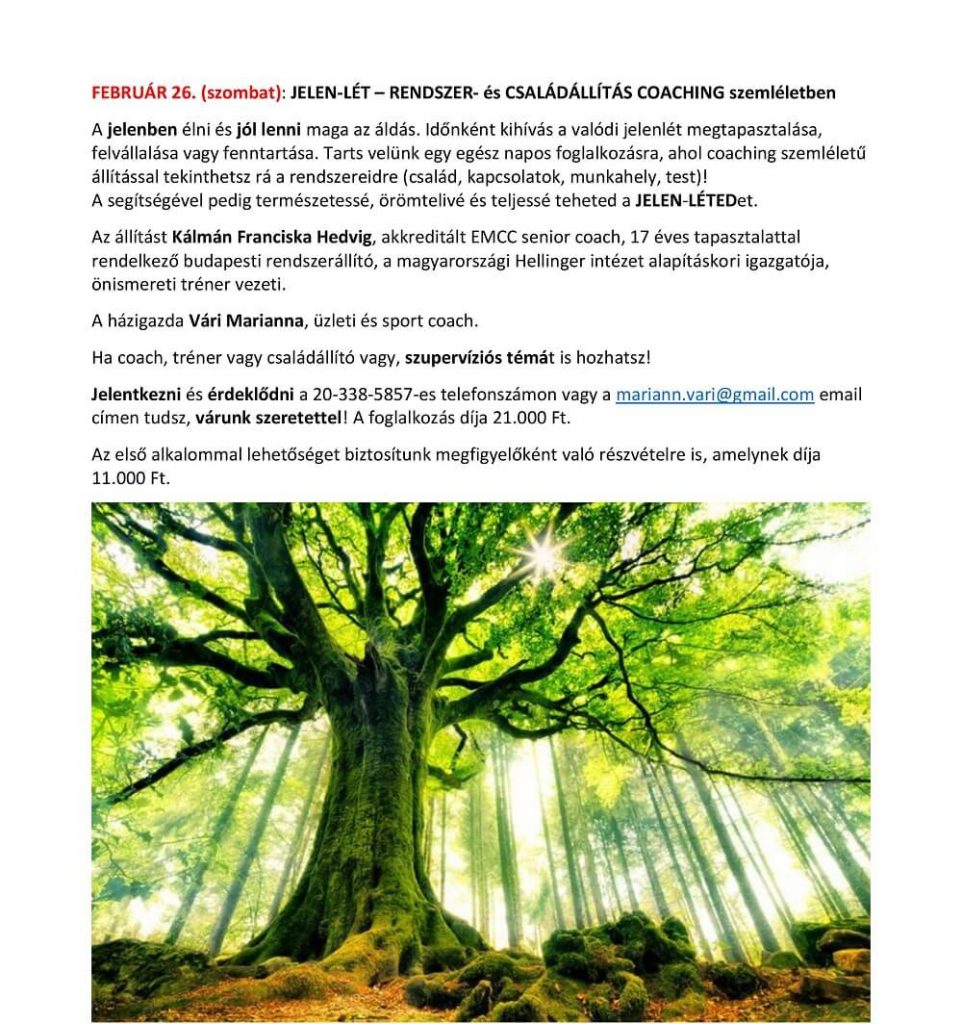 JELEN-LÉT – RENDSZER- és CSALÁDÁLLÍTÁS COACHING szemléletben
