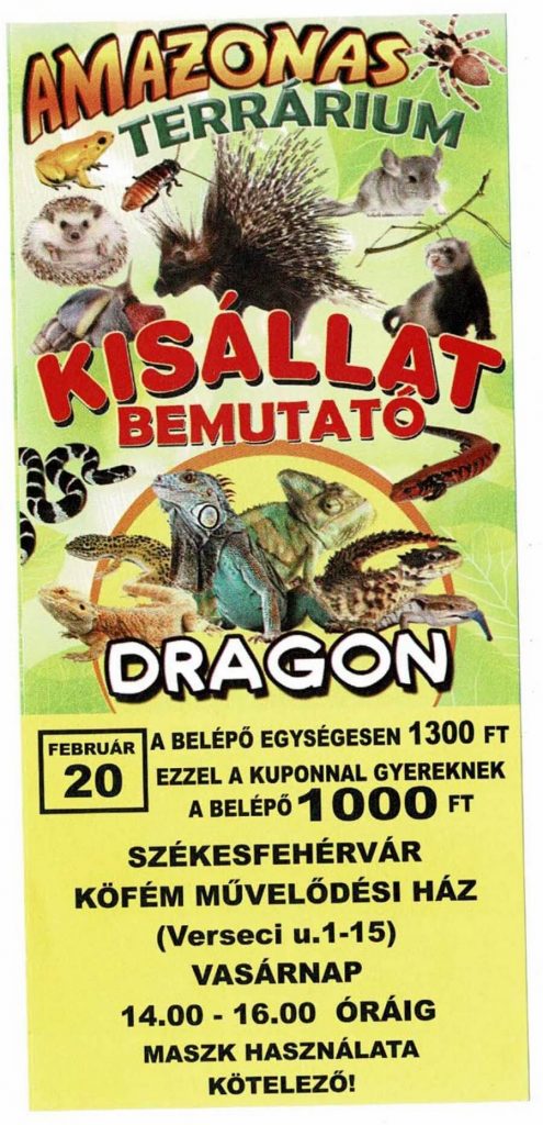 Amazonas Terrárium kisállat bemutató